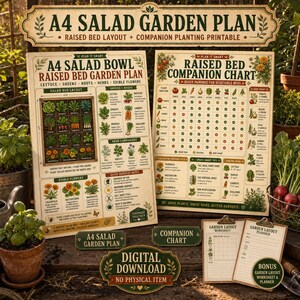 Könnte beinhalten: Zwei gedruckte A4-Gartenplanungsblätter mit einem Hochbeet-Layout für Salate und einer Pflanzentabelle für Mischkulturen. Die Dokumente enthalten Illustrationen von Gemüse, Kräutern und Blumen sowie Textanleitungen, Pflanzabstände und Erntehinweise.