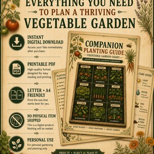 Companion Planting Guide Printable | Vegetable Garden Chart, Raised Bed Planner PDF Download image 2