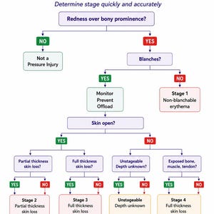 May include: A medical decision tree chart titled Pressure Injury Algorithm by Wound Warriors. The flowchart uses boxes and arrows to guide clinical assessment of skin redness, blanching, and tissue loss, categorizing injuries from stage 1 to 4.