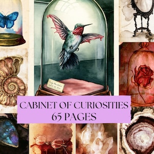 May include: A collage of watercolor illustrations featuring a blue butterfly in a glass dome, a hummingbird, a rose in a dome, a nautilus shell, a mirror, and other curiosities. The text "CABINET OF CURIOSITIES 65 PAGES" is displayed in a lavender banner.