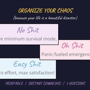 Może przedstawiać: Cyfrowy wydruk z tekstem "ORGANIZE YOUR CHAOS" i frazą "(because your life is a beautiful disaster)". Wydruk zawiera trzy kolorowe prostokąty z frazami "No Shit", "Oh Shit" i "Easy Shit".