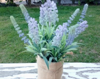 May include: A small potted lavender plant with purple flower spikes and green leaves. The plant is in a burlap-wrapped pot, tied with twine. The pot sits on a white, weathered surface, with a green lawn and trees in the background.