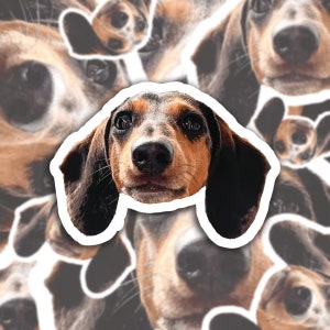Custom Dog Sticker- dog face sticker, custom pet sticker, photo sticker, gift for dog lover, dog mom present, customized sticker of pet.