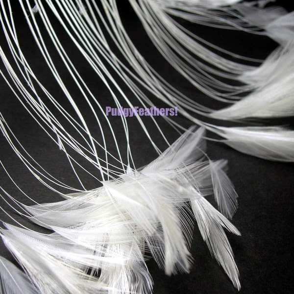 White Stripped Rooster Feathers 4 to 5 inches long - 2 Inch Strip