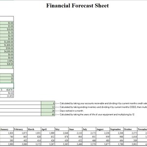 May include: A financial forecast sheet with a green and white table. The sheet includes sections for assumptions, break-even analysis, and monthly sales projections. The title "Financial Forecast Sheet" is at the top.