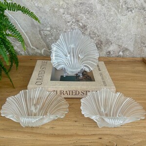 May include: Three clear glass dishes shaped like scallop shells with ribbed textures. One dish is displayed upright on a stand atop a book titled Curated Style, while two identical dishes rest flat on the surface in front of the book.