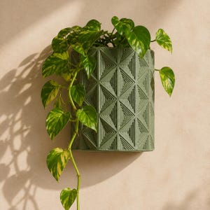 May include: A sage green wall-mounted planter featuring a geometric diamond pattern with fine vertical lines. A trailing pothos plant with variegated heart-shaped green and yellow leaves grows out of the top, cascading down the side of the container.
