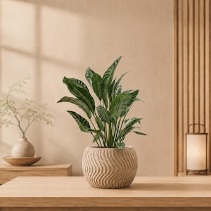 Mirage Planter | Modern Wave Textured Globe Pot | Japandi Minimalist Home Decor | 4" 6" 8"
