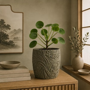 May include: A Pilea peperomioides plant with round, dark green leaves potted in a cylindrical gray planter featuring a raised, embossed floral and vine relief pattern. The plant sits centered, showcasing its symmetrical foliage and textured pot.