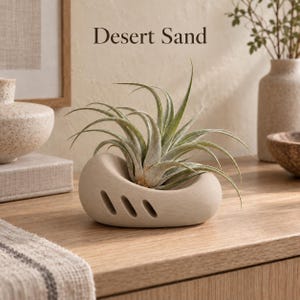 Pebble Cradle Air Plant Holder, Organic Ventilated Tillandsia Bowl, Low Tabletop Display