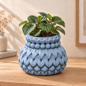 May include: A light blue plant pot with a textured surface featuring a row of spherical beads at the top and a repeating leaf-like pattern on the body, containing a small green Peperomia plant with heart-shaped, veined leaves.