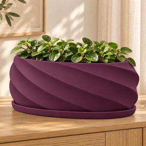 May include: A deep purple oval planter with a spiraling, ribbed exterior texture and a matching flat saucer base. The planter contains a lush, green leafy plant with small, rounded foliage filling the interior space.