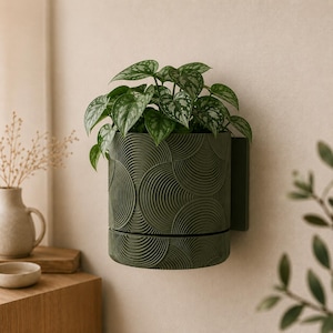 May include: A wall-mounted olive green cylindrical planter featuring a textured pattern of concentric circles. The planter holds a trailing plant with heart-shaped green leaves that have silver variegation, extending over the top rim.