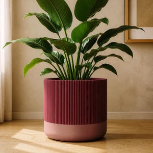 May include: A cylindrical plant pot featuring a deep burgundy ribbed upper section and a smooth, solid light pink base. A large green leafy plant with broad, pointed foliage grows out of the top of the container, filling the space above.
