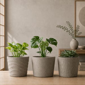 May include: Three cylindrical plant pots in varying shades of light gray. The left pot features a horizontal wavy texture, the center pot has a smooth matte finish, and the right pot displays vertical ribbed detailing, each holding a green plant.