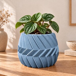 May include: A light blue plant pot with a textured, repeating chevron pattern on the exterior. The pot contains a small Peperomia plant with heart-shaped, variegated green leaves that have silver-toned stripes across the surface of each leaf.