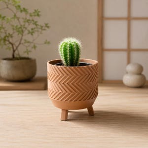 May include: A small green cactus planted in a light brown cylindrical pot with a textured herringbone pattern. The pot features three short legs that elevate it from the surface, providing a stable base for the plant and its container.
