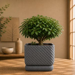 Connect ~ Dotted Diamond Planter ~ Quilted 3D Printed Plant Pot ~ Modern Indoor Pot ~ 3-12 inch + Nursery Sizes