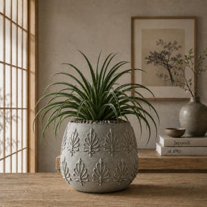 May include: A round, light gray planter with a textured surface featuring a repeating embossed leaf pattern. The planter contains a lush, spiky green plant with long, slender leaves that arch outward from the center, filling the container.