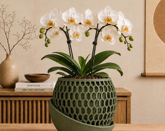 May include: A potted Phalaenopsis orchid with white petals and yellow centers, supported by two black stakes. The plant is housed in a round, sage green planter featuring a textured, open-weave lattice pattern and a matching solid curved base.