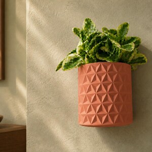 May include: A terracotta-colored wall-mounted planter with a geometric triangular pattern on its exterior surface. The cylindrical pot contains a lush green and yellow variegated plant with ruffled leaves that spill over the top edge.