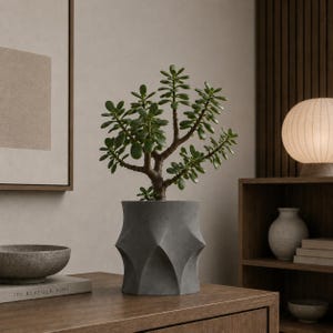 May include: A jade plant with thick, green, oval-shaped leaves and a woody stem, potted in a matte gray planter. The planter features a geometric, faceted design with sharp, vertical ridges that create a series of pointed, triangular patterns.