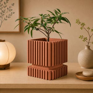 May include: A square terracotta-colored planter featuring a vertical ribbed texture on its exterior walls and a matching tiered base. The planter holds a small green leafy plant with thin stems and pointed leaves, creating a structured appearance.