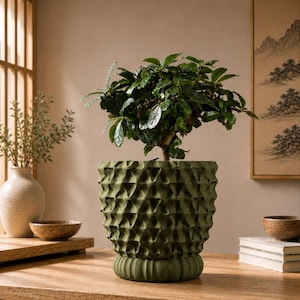 May include: A dark olive green plant pot with a textured, geometric triangular pattern on the exterior and a ribbed base. The pot contains a small, leafy green shrub with dense foliage, creating a structured and balanced appearance.