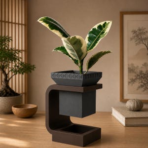 May include: A variegated rubber plant with green and cream leaves sits in a dark gray square planter. The planter is held by a C-shaped dark brown wooden stand that features a geometric triangular pattern along the top rim of the container.