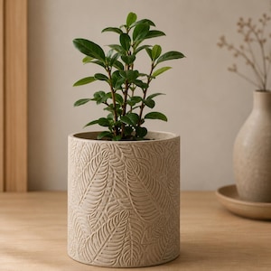 May include: A cylindrical beige planter featuring a textured, embossed leaf pattern across its exterior. The planter holds a small, upright green plant with multiple stems and oval-shaped leaves, creating a natural and balanced appearance.