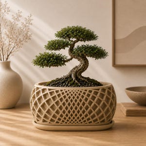 May include: A small bonsai tree with a twisted, textured trunk and dense green foliage, planted in an oval-shaped beige planter featuring a complex, repeating geometric lattice pattern on its exterior surface, resting on a matching saucer.