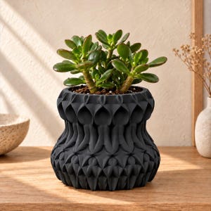May include: A matte black planter with a complex, repeating geometric pattern of layered, petal-like shapes. The planter holds a vibrant green jade plant with thick, fleshy, oval-shaped leaves growing from multiple woody stems.