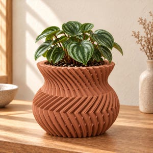 May include: A terracotta-colored planter with a textured, spiraling geometric pattern on its exterior. The pot contains a Peperomia argyreia plant, which features heart-shaped green leaves with distinct silver stripes radiating from the center.