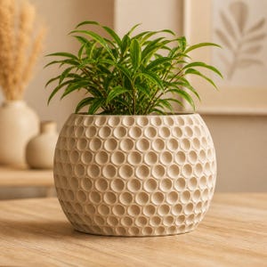 May include: A round, off-white planter featuring a textured, repeating honeycomb pattern across its exterior surface. The planter holds a vibrant green plant with pointed leaves, creating a contrast between the organic foliage and the geometric vessel.