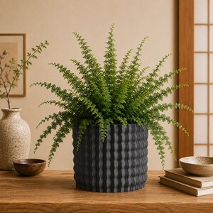 May include: A vibrant green fern plant with delicate, feathery fronds is potted in a cylindrical, matte black planter featuring a distinct vertical wavy or corrugated texture along its exterior surface, creating a bold contrast with the foliage.