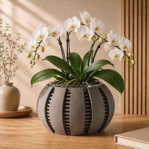 Arik ~ Slatted Sphere Orchid Pot ~ Ribbed Cutwork 3D Printed Orchid Planter ~ Modern Indoor Pot ~ 3-12 inch + Nursery Sizes