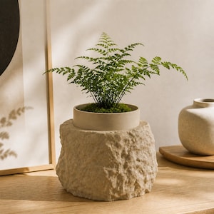 May include: A small green fern plant potted in a smooth, light beige cylindrical container that sits inside a larger, textured, rock-like base with a rough, uneven surface in a matching light beige tone, creating a natural stone appearance.