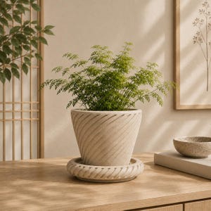 May include: A potted fern with delicate green foliage sits in a beige, textured ceramic pot with a matching saucer. The pot has a spiral design. The plant is on a wooden surface, with a small bowl and framed artwork in the background.