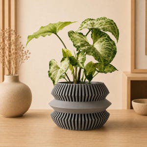 May include: A Syngonium plant with variegated green and white leaves potted in a dark gray planter. The planter features a distinct geometric design with two ribbed, finned sections separated by a smooth, protruding horizontal band around the center.