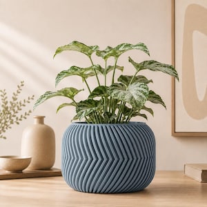 May include: A blue, round planter with a textured, vertical chevron pattern containing a leafy plant with variegated green and white foliage. The planter has a wide, squat shape with a consistent ribbed design around its entire exterior surface.