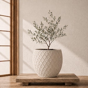 May include: A small olive tree with slender green leaves and thin branches planted in a round, off-white ceramic planter featuring a textured, raised diamond lattice pattern across its exterior surface, resting on a flat wooden base.