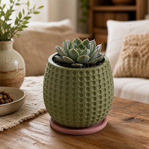 May include: A sage green ceramic planter with a textured dimpled surface pattern, containing a green succulent plant. The planter sits on a circular light pink saucer, providing a stable base for the plant container on a wooden surface.