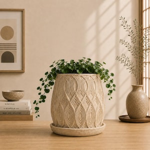 May include: A beige ceramic plant pot with a textured, repeating leaf-like pattern and a matching circular saucer. The pot contains a lush, trailing green plant with small, rounded leaves that spill over the sides of the vessel.