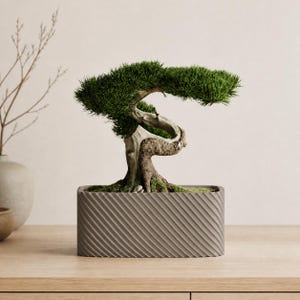 Vale | 3D Printed Low Trough Planter with Drainage | Diagonal Rib Bonsai Windowsill Pot | Modern Home Decor