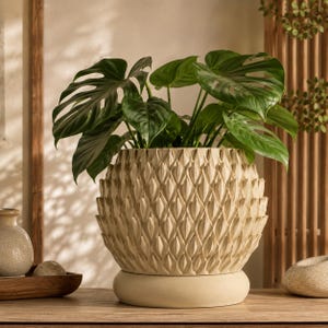 May include: A cream-colored planter with a textured, repeating leaf-like pattern on its exterior. The round planter sits on a smooth, circular base and contains a lush green plant with large, broad, heart-shaped leaves that fan outward.