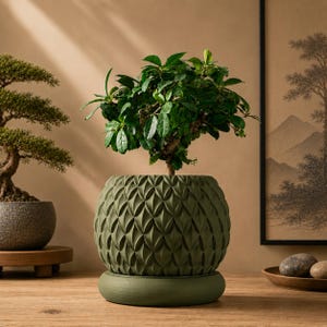 May include: A small green potted plant with glossy leaves sits in a round, olive green planter featuring a textured, repeating geometric leaf-like pattern. The planter rests on a matching circular base, creating a cohesive and structured appearance.