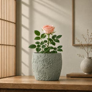 May include: A single light pink rose with green leaves planted in a cylindrical sage green planter. The planter features a textured, embossed floral pattern of roses and leaves covering its entire exterior surface, providing a detailed relief.