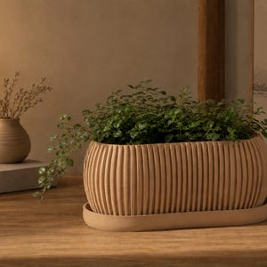 May include: An oval-shaped, light beige planter with a vertically ribbed exterior texture. The planter sits on a matching oval tray and contains a lush, green leafy plant with small, dense foliage that spills over the sides of the container.