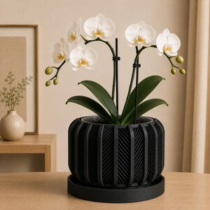 May include: A white Phalaenopsis orchid plant with multiple blooming flowers and green buds, supported by two black stakes. The plant is potted in a matte black cylindrical planter featuring a vertical ribbed and herringbone texture pattern.