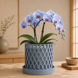 May include: A potted orchid plant with light blue petals and dark purple centers, housed in a cylindrical gray planter featuring a geometric hexagonal lattice pattern. The plant has broad green leaves and is set on a matching circular gray base tray.